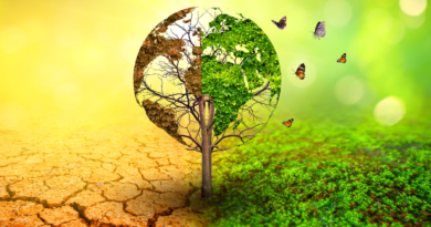 world-environment-day